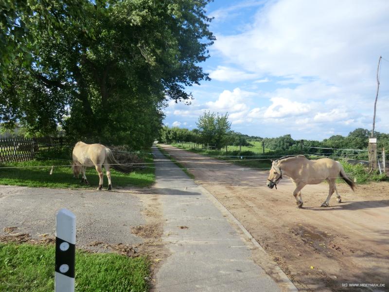 0023_Pferde�berweg