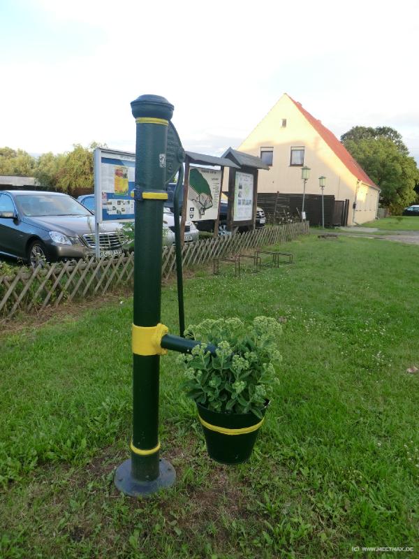0047_Blumenpumpe