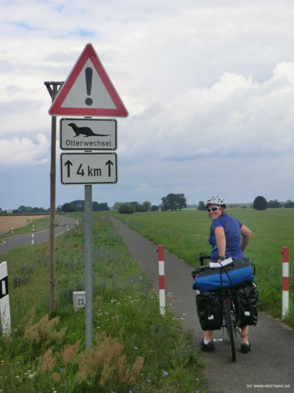 0052_Otterwechsel