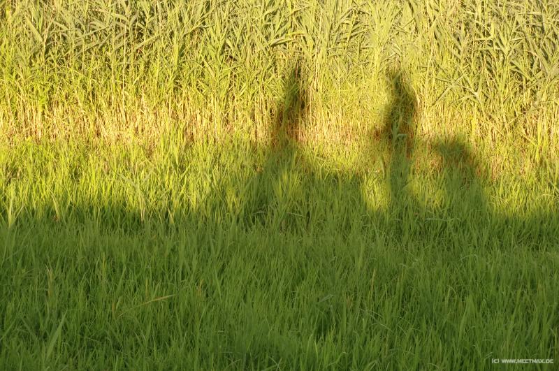 0146a_Shadows