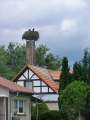 0101_Storchennest