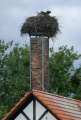 0103_Storchennest