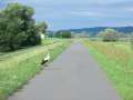 0123_Storch