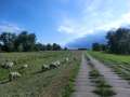 Bleyen - Mescherin