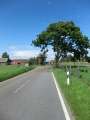 0206_Belagwechsel