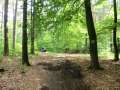 0341_Waldweg
