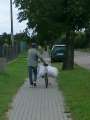 8347_Sacktransport
