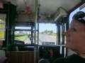 8835_Cat_im_Bus