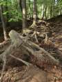0736