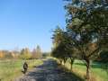 0031
