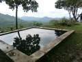0096_Oscar's_pool