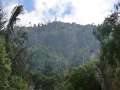 0010_Monserrate