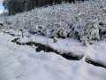 0068_Tschechien