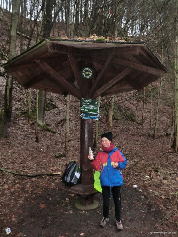 0204_Eierlik�rpilz