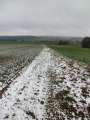 0163_Blick_vom_Lerchenberg