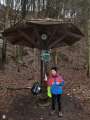 0204_Eierlik�rpilz