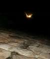 0052