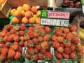 0217_Aus_neuer_Ernte