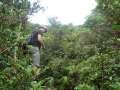 0329_Jungle_Markus