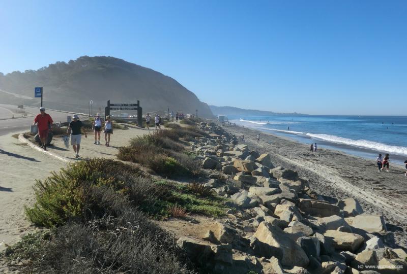 0843_Torrey_Pines