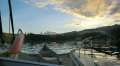0938_Good_morning