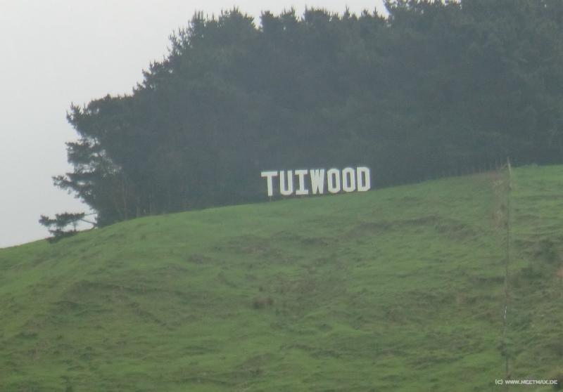 0271_Tuiwood