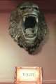 0194_King_Kong