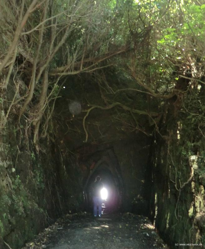 0913_Waikawau_beach_tunnel