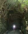0913_Waikawau_beach_tunnel