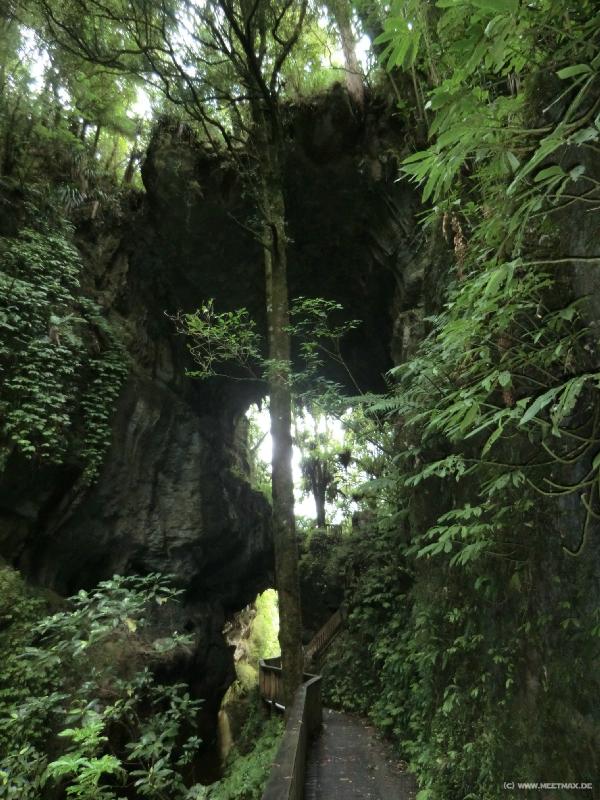 1015_Mangapohue_natural_bridge
