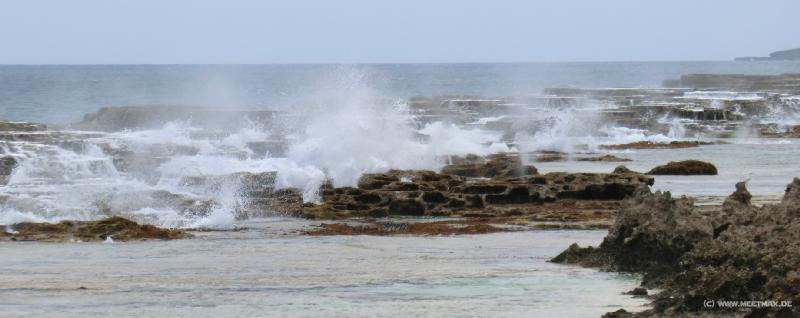 1111_Blowholes