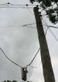 1151_Electricity