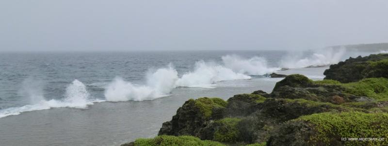1170_Blowholes