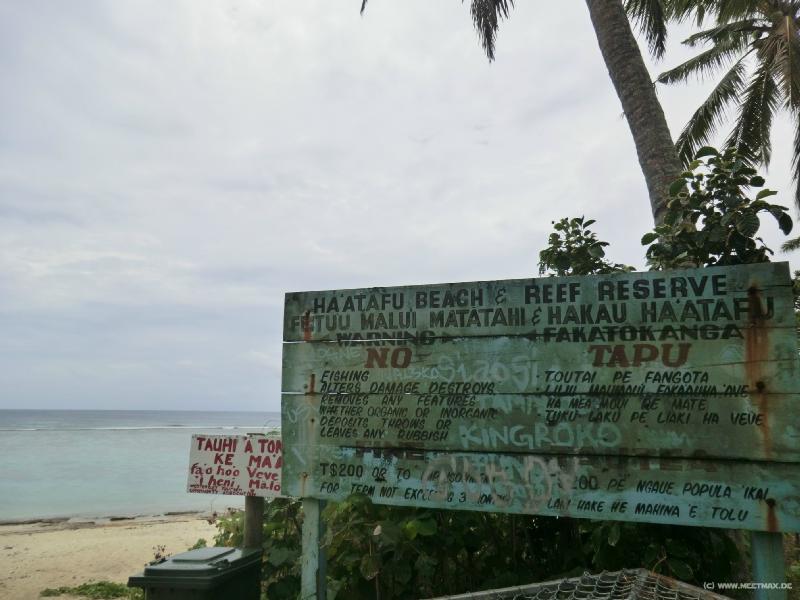 1213