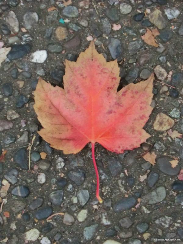 0018_Canada