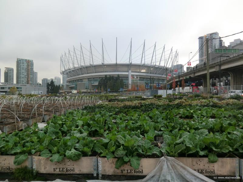 0043_Stadium_Veggies