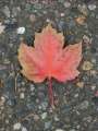 0018_Canada