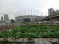 0043_Stadium_Veggies