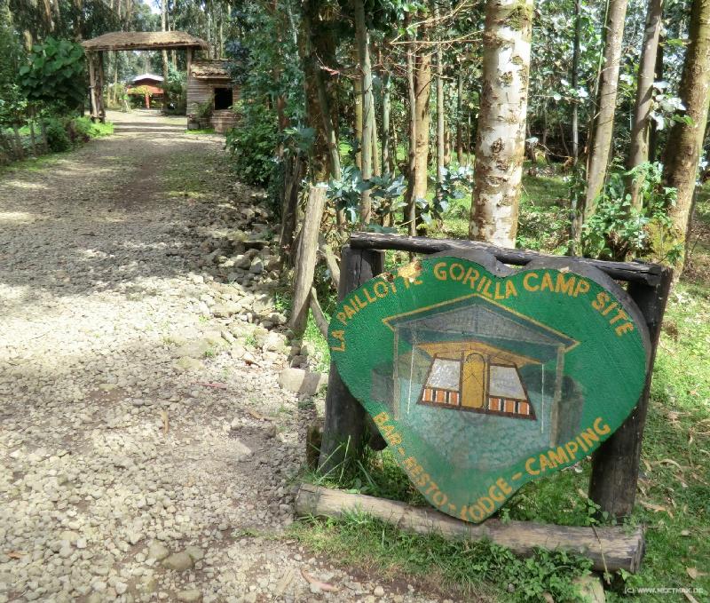 0253_Mitobo_Camp