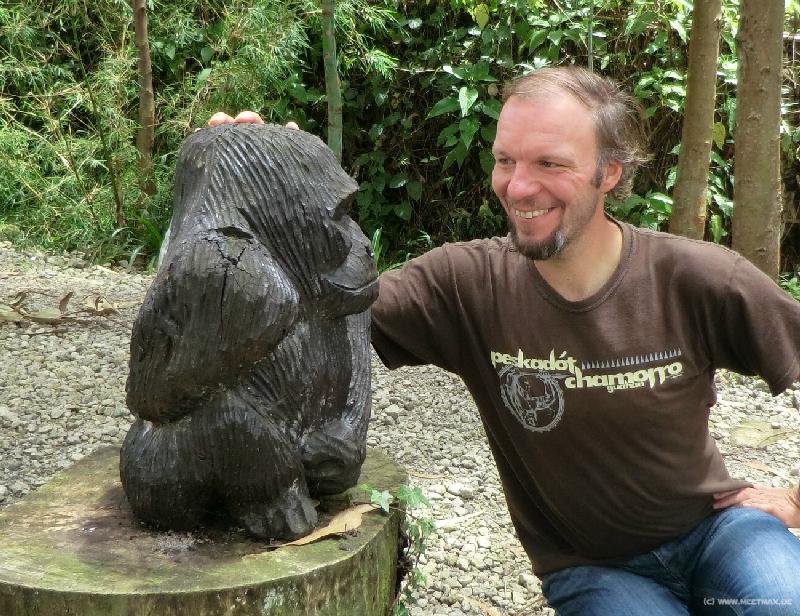 0272_Gorilla