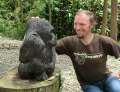 0272_Gorilla