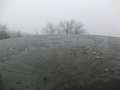 0071_Lausche-Ausblick