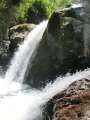 0472_Sharplin_Falls