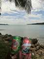 0442_Strange_drinks