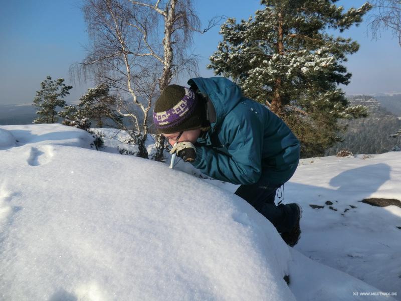 0595_Snow