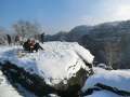 0591_Winterstein