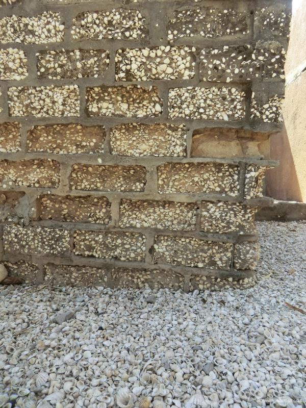 0057_Shell_stones