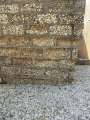 0057_Shell_stones
