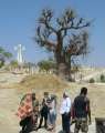 0085_Cemetery