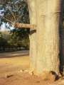 0152_No_comment